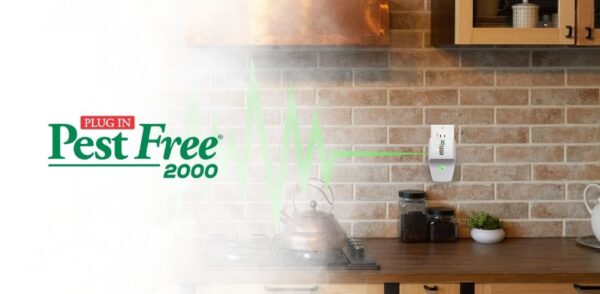 Pest <i>Free</i> 2000 - Image 2